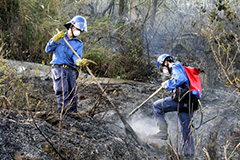 Countryside Fire Protction Duties