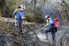 撲滅山火任務