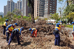 Assisting the clerance of collapsed trees after 2018’s worst storm hit Hong Kong