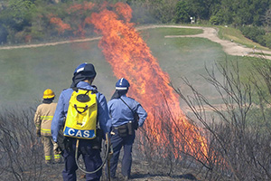 Assisting in fighting wildfires in Kai Kung Leng on Double Ninth Festival in 2017